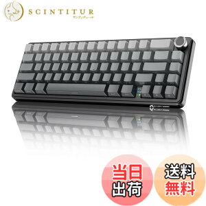 �y���������zMAMBASNAKExATTACKSHARK X66 �Q�[�~���O�L�[�{�[�h 65%���C�A�E�g �K�X�P�b�g �z�b�g�X���b�v�Ή� �O�̐ڑ����[�h 2.4Ghz����/Bluetooth/USB-C�L�� ���J�j�J�� �����{�����[���m�u�t�� 3000mAh