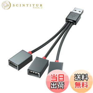 �y���������zSound Wave 4In1 USB�d���P�[�u�� 4����P�[�u�� USB-A �l�҃R�[�h 40cm (USB�I�X/USB���Xx4) 20+20cm ���d�E�[�d�̂� �l�� USBm-4f �T�C�Y�FUSB2.0 ���X 3�� 10cm