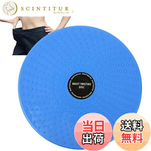 �y���������zRekiLife �c�C�X�g�{�[�h �X�s���{�[�h �������� �˂���^�� �E�G�X�g �o�����X �̊� �G�N�T�T�C�Y ��]�� �F�F�u���[