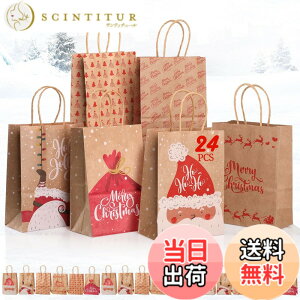 �y���������zGeeRic 24���Z�b�g�N���X�}�X �M�t�g�o�b�O ���b�s���O�� �N���X�}�X���� �M�t�g �� ��񂰑� �V���b�s���O �p�[�e�B�[ �N���X�}�X�p � 21x15x8cm �F�F�p�^�[1