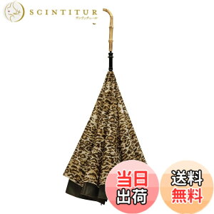 �y���������zCARRY saKASA (�L�����[�T�J�T) Advance Style (�A�h�o���X�X�^�C��) �G��Ȃ��P �t�܂莮�P �t���P �f�U�C�� ������� ���� �F�F���I�p�[�h�A�T�C�Y�F�����T�C�Y