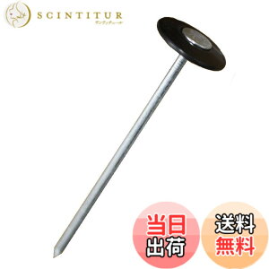 �y���������zDAIM ���r�j�[�� �h���V�[�g������ �y�B ����15cm 50�{�� ���| �h�� �G���΍� �h���V�[�g �s�� �B������ ������ �K�[�f�j���O �ƒ�؉� �p�i �p�� �V�[�g �Œ� ���� �_�� �_�Ǝ���