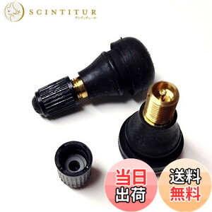 �y���������zautoservice �I�[�g�o�C ��֎ԗp�`���[�u���X�o���uTR-412 CL�i�p�b�L���tCL�L���b�v�j1PC�i2��)�����m�H��.PACIFIC �F�F�u���b�N