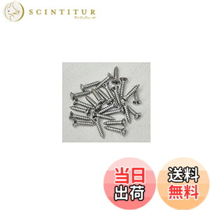 �y���������zFENDER (�t�F���_�[) �s�b�N�K�[�h�p�l�W PICKGUARD - CONTROL PLATE MOUNTING SCREWS CH (24) �F�F�V���o�[