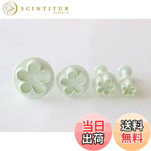 �y���������zcotta �����^ (�t�����[ 4�Z�b�g)