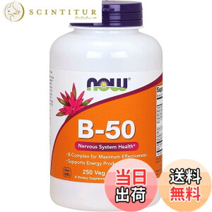 �y���������zNOW Foods VITAMIN �F�F�}���`�J���[�A�T�C�Y�F250�� (x 1)