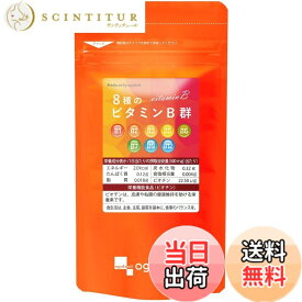 【送料無料】ビタミンB群+葉酸 サイズ：約3ヶ月分