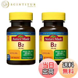 �y���������z�l�C�`���[���C�h B-2 �T�C�Y�F80�� (x 2)