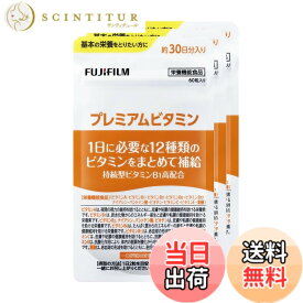 【送料無料】プレミアムビタミン サプリメント サイズ：90日分