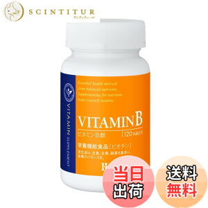 �y���������z�������� HEALTHY-ONE �r�^�~���V���[�Y (�I�����W���x��) �T�C�Y�F1�_