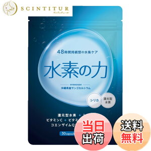 �y���������z���f�̗� ���f�T�v�� 30���� ���Z�x �Ҍ��^���f �V���J �����|�_ �r�^�~��C �r�^�~��E ����GMP�H�� 48���� �����^