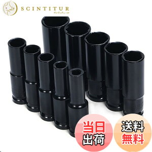 �y���������zLanx. 12.7mm 1/2�C���` �f�B�[�v �\�P�b�g 10�{�Z�b�g �����O ���� ���`�F�b�g �C���p�N�g �����` �p �H��Z�b�g �F�F8mm-17mm�T�C�Y 10�{�Z�b�g (��p�P�[�X�t��)�A�T�C�Y�F8mm 9mm 10mm 11