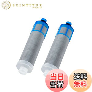 �y���������zJFK21 �򐅊�J�[�g���b�W �T�C�Y�FJFK21 2��