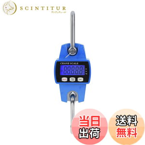 �y���������zSTEELMIGHT LCD�f�W�^���\���N���[���X�P�[�� �P�ʐؑ։\ �g�ю� �݂蔉 ���� �Y�Ɨp �F�F�u���[�A�T�C�Y�F300kg