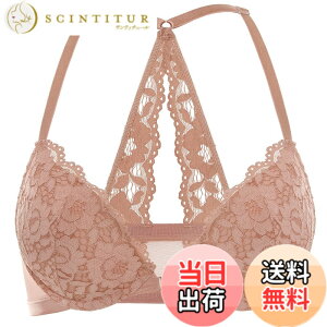 �y���������z[DOBREVA] �u���W���[ ���f�B�[�X �t�����g�z�b�N�u�� �ԕ����[�X ���[�T�[�o�b�N ���C���[���� �v�b�V���A�b�v �o�X�g�A�b�v�u�� ���� �F�F�N���[���R�[�q�[�A�T�C�Y�FD90