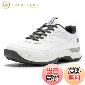 【送料無料】[FitVille] 幅広 ゴルフシューズ メンズ 2E 4E プロゴルフ靴 ソフトスパイク付き 軽量 防水 防滑 色：ディープグレー、サイズ：29.0 cm 2E