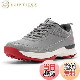 【送料無料】[FitVille] 幅広 ゴルフシューズ メンズ 2E 4E プロゴルフ靴 ソフトスパイク付き 軽量 防水 防滑 色：アサグレー、サイズ：29.0 cm 4E