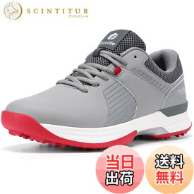 【送料無料】[FitVille] 幅広 ゴルフシューズ メンズ 2E 4E スパイク ゴルフ靴 軽量 撥水 甲高 初心者 練習用 大きいサイズ 色：グレー＆レッド、サイズ：29.0 cm 4E