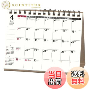 �y���������z�\�� NOLTY �J�����_�[ 2026�N 4���n�܂� ��� �r���� �F�F�z���C�g A6(U229)