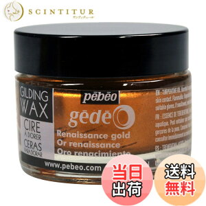 �y���������z�M���f�B���O���b�N�X SURFACE_PROTECTION_WAX �F�F���l�b�T���X�S�[���h