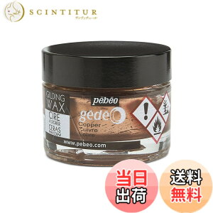 �y���������z�M���f�B���O���b�N�X SURFACE_PROTECTION_WAX �F�F�R�b�p�[