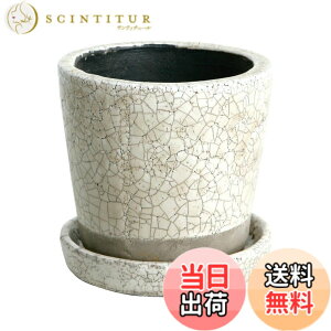 �y���������z�_���g��(Dulton) �A�ؔ� �v�����^�[ �󂯎M�t�� ������ ���픫 �J���[ ���|�p�i CH13-G476_CH15-G527_CH14-G518 COLOR GLAZED POT �F�F�A�C�{���[�A�T�C�Y�F4��