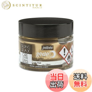 �y���������z�M���f�B���O���b�N�X SURFACE_PROTECTION_WAX �F�F�L���O�S�[���h