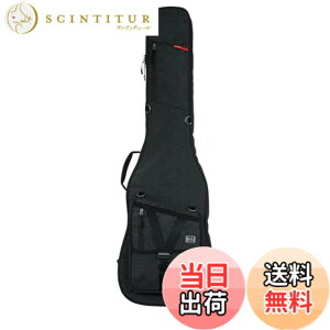 �y���������zGATOR �Q�[�^�[ �G���L�x�[�X�p �M�O�o�b�O Transit Series GT-BASS �y�������K�i�z �F�F�u���b�N