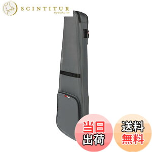 �y���������zGATOR �Q�[�^�[ �G���L�x�[�X�p �M�O�o�b�O G-ICON Series �F�F�O���[
