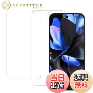 �y���������zHUAKE 2���Z�b�g ���{�f�ލ̗p ��p �K���X�t�B���� �T�C�Y�F2-Google Pixel 9 Pro