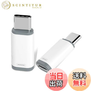 �y���������zHUAKE ���C�g�j���O ���� �^�C�vc �ϊ��A�_�v�^�y1���z light ing (���X) type-c (�I�X) �A�_�v�^�[ ���C�g�j���O���� usb-c �ϊ� iPhone 15 / 16 Plus Pro Max �V���[�Y Galaxy S23 Note 20 iPad Pro Air 2021