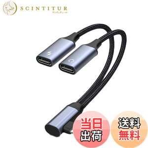 �y���������zAkkerds Type-C�C���z���W���b�N�ϊ��A�_�v�^�i2 in 1�j USB-C�P�[�u�� DAC�f�R�[�_�g�уp�\�R������ ���������[�dUSB-C�A�_�v�^ �[�d�ƒ��̂𓯎��ɍs��