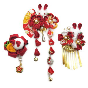 yz[JZOON]  3_Zbg l ܎O    U a ܂ݍ׍H  Ǝ  lC a wA[ANZT[ 񂴂 [ w \ t 