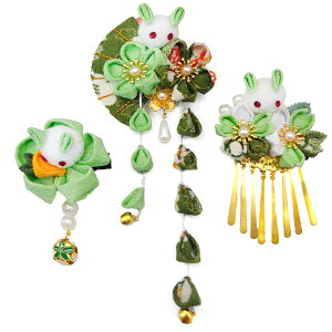 yz[JZOON]  3_Zbg l ܎O    U a ܂ݍ׍H  Ǝ  lC a wA[ANZT[ 񂴂 [ w \ t 