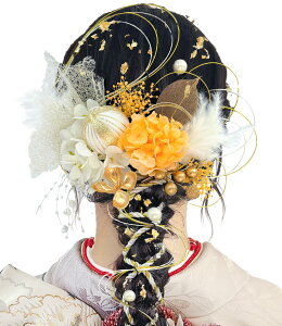 yz[JZOON ] 24_Zbg l  9FWJ Ǝ wAANZT[ z ݑ g S[h `[   a ԏ   S[h  U a 