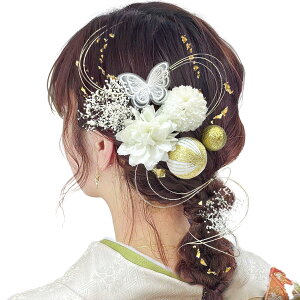 yzyJZOONz l  hCt[ X ߂ lC U Ǝ  a   OB ԉ ݑ  a pP[Xt A1701