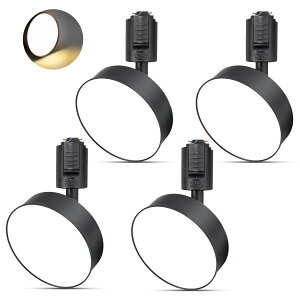 yz_Ng[Cg tBCgd12W LED 1100lm AJ(BridgeLux)LED`bv FRa96.5 ̌^ dsv tȒP