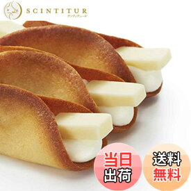 【送料無料】ニューヨークパーフェクトチーズ COOKIE サイズ：8個 (x 2)