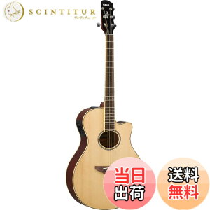 �y���������z���}�n �G���A�R�M�^�[ APX600 �F�F�i�`������(NT)