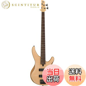 �y���������zYAMAHA TRBX604-605FM �F�F�i�`�������T�e��(NS)