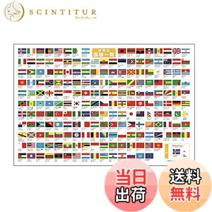 �y���������z���W���[�V�[�g �u���E�̍����ꗗ�v LSWF �T�C�Y�F5400 cm