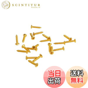 �y���������zMusiclily Basic 2.5x15mm ���� �~���K�i�X�g�����O�K�C�h�p �r�X �l�W �i20�Z�b�g�j �F�F�S�[���h