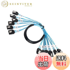 �y���������zCablecc ���� 6 SATA 7pin ���� 6 SATA 7pin �^�[�Q�b�g SSD �n�[�h�f�B�X�N 6Gbps �f�[�^�T�[�o�[ Raid �P�[�u�� �F�F�u���[ 6xSATA