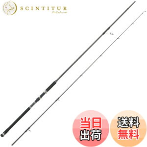 �y���������z�A�u�K���V�A (Abu Garcia) SaltyStagePrototype (�\���e�B�[�X�e�[�W�v���g�^�C�v) �V���A�W�M���O �e�� �F�F�u���b�N�A�T�C�Y�F�X�s�j���O:10.0MH(�~�B�f�B�A���w�r�[)