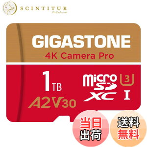 �y���������zGIGASTONE �}�C�N��sd�J�[�h 1TB-4-1 Core Group �F�F1TB Camera Pro 1���Z�b�g�A�T�C�Y�FPro Series