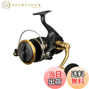 �y���������z�_�C��(DAIWA) �X�s�j���O���[�� 23BG SW 4000~18000�� �e�� (2023�N���f��) �F�F�u���b�N,�S�[���h�A�T�C�Y�F14000-H