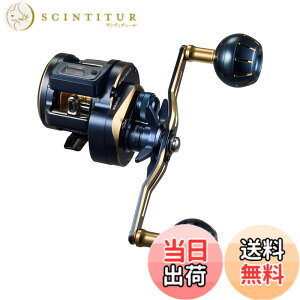 �y���������z�_�C��(DAIWA) �J�E���^�[�t���I�t�V���A�x�C�g���[�� SALTIGA(�\���e�B�K)IC 100~300�� �V���O���n���h��/�_�u���n���h�� �e��(2021-2023���f��) �F�F�s���A�T�C�Y�F300L-DH