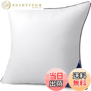 �y���������zBelinna �N�b�V���� �֎q�N�b�V���� �w������N�b�V���� �\�t�@�[�N�b�V���� �F�F�z���C�g�A�T�C�Y�F55cm*55cm�i1�j