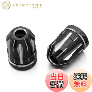 �y���������z�f�C�g�i(Daytona) PREMIUM ZONE(�v���~�A���]�[��) �o�C�N�p �o�[�G���h TECHNO/BRICK/KIRIKO/�X�N���b�` �F�F�A�b�V���V���o�[�A�T�C�Y�F�z���_(M6)