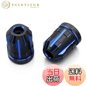 �y���������z�f�C�g�i(Daytona) PREMIUM ZONE(�v���~�A���]�[��) �o�C�N�p �o�[�G���h TECHNO/BRICK/KIRIKO/�X�N���b�` �F�F�u���[�A�T�C�Y�F�J���T�L(M6)